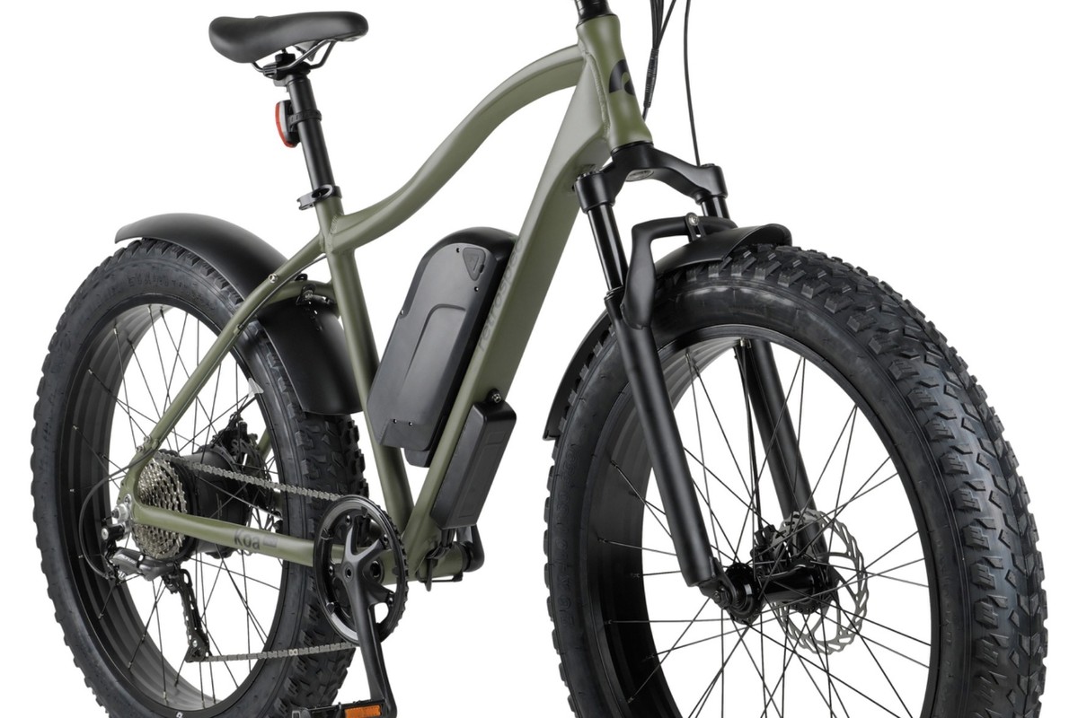 E-Bike Rentals on Marco Island
