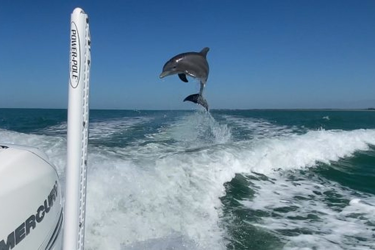 Family-Friendly Fishing & Eco Tours