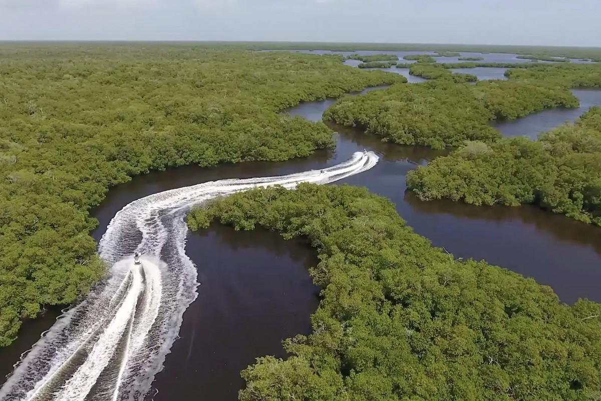 Jet ski tour through the mangroves of the 10,000 Islands near Marco Island, FL