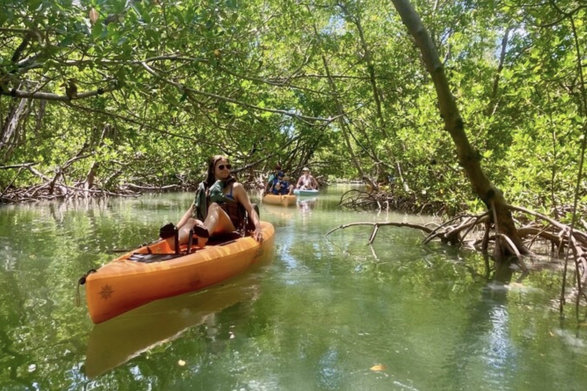 Easy Ride Pedal Kayak Tour