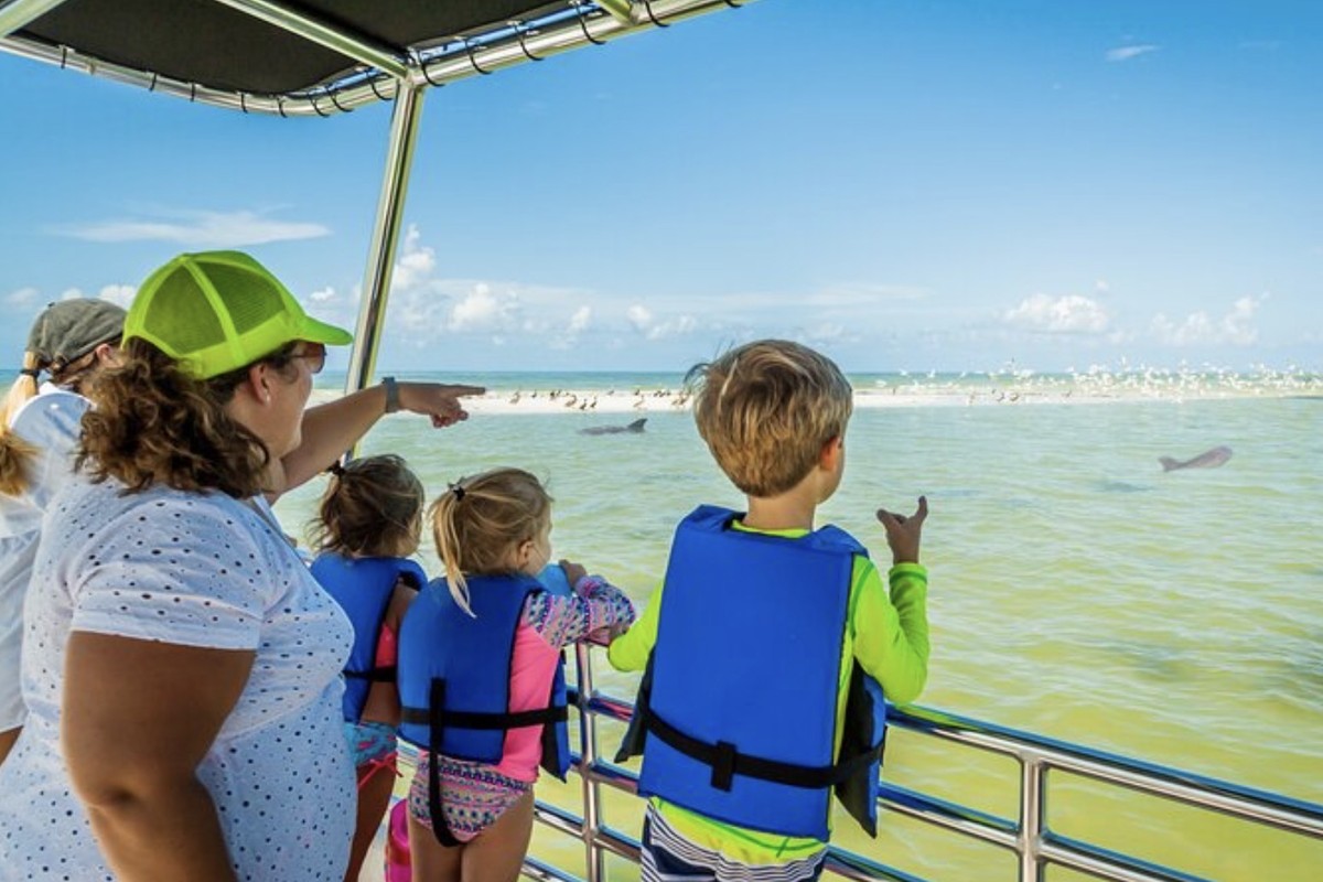 Marco Island Wildlife Sightseeing & Shelling Tour